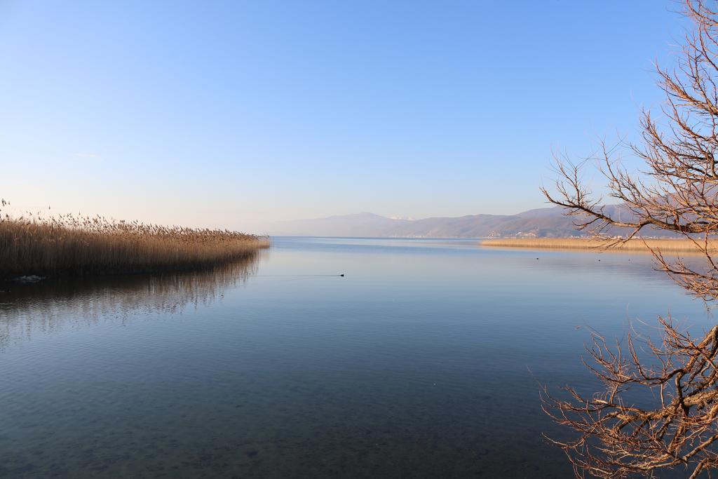 Hotel Montenegro Струга Экстерьер фото